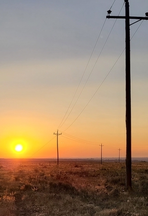 Summer 2020 - Broomfield, CO