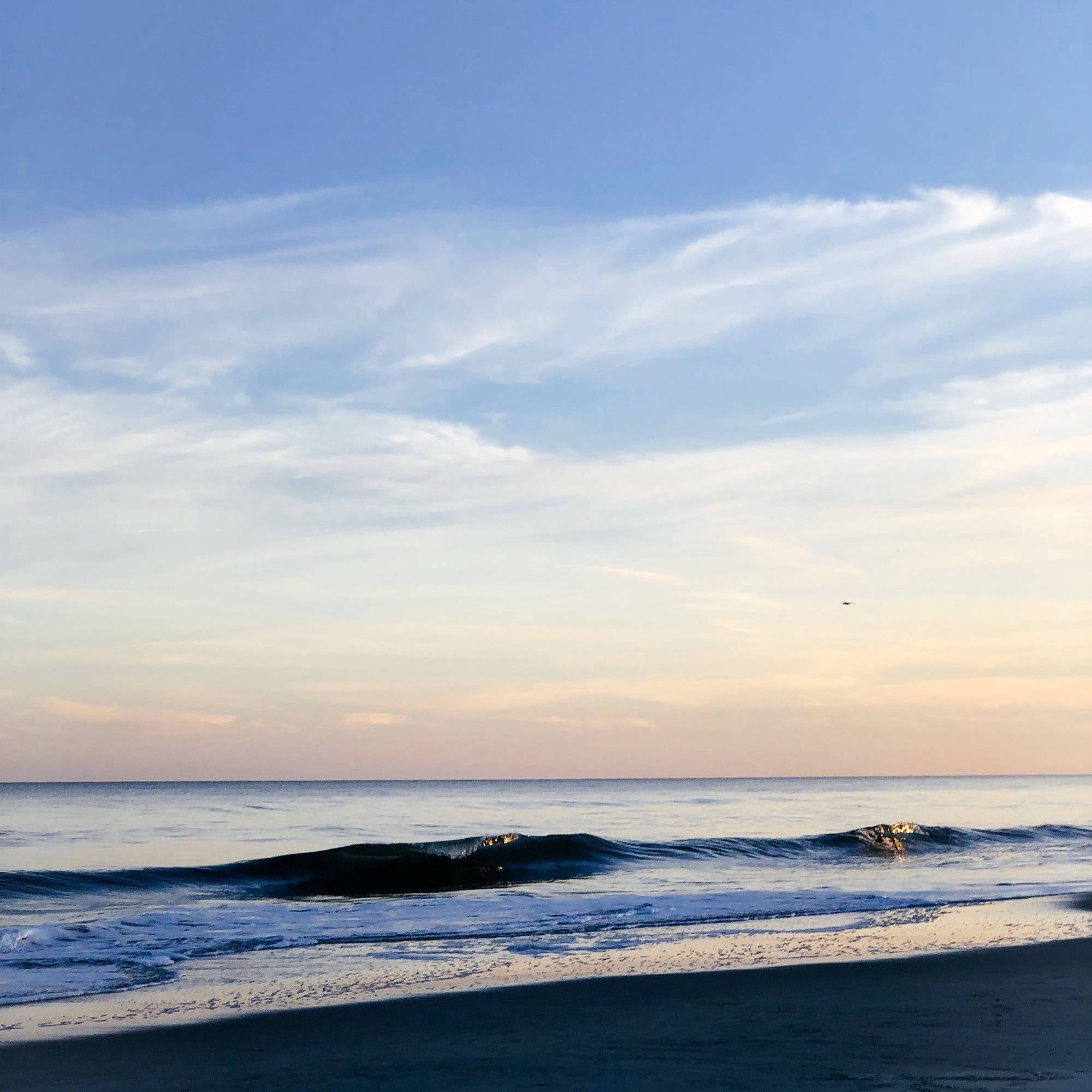Pawleys Island, South Carolina. United States - Winter 2018