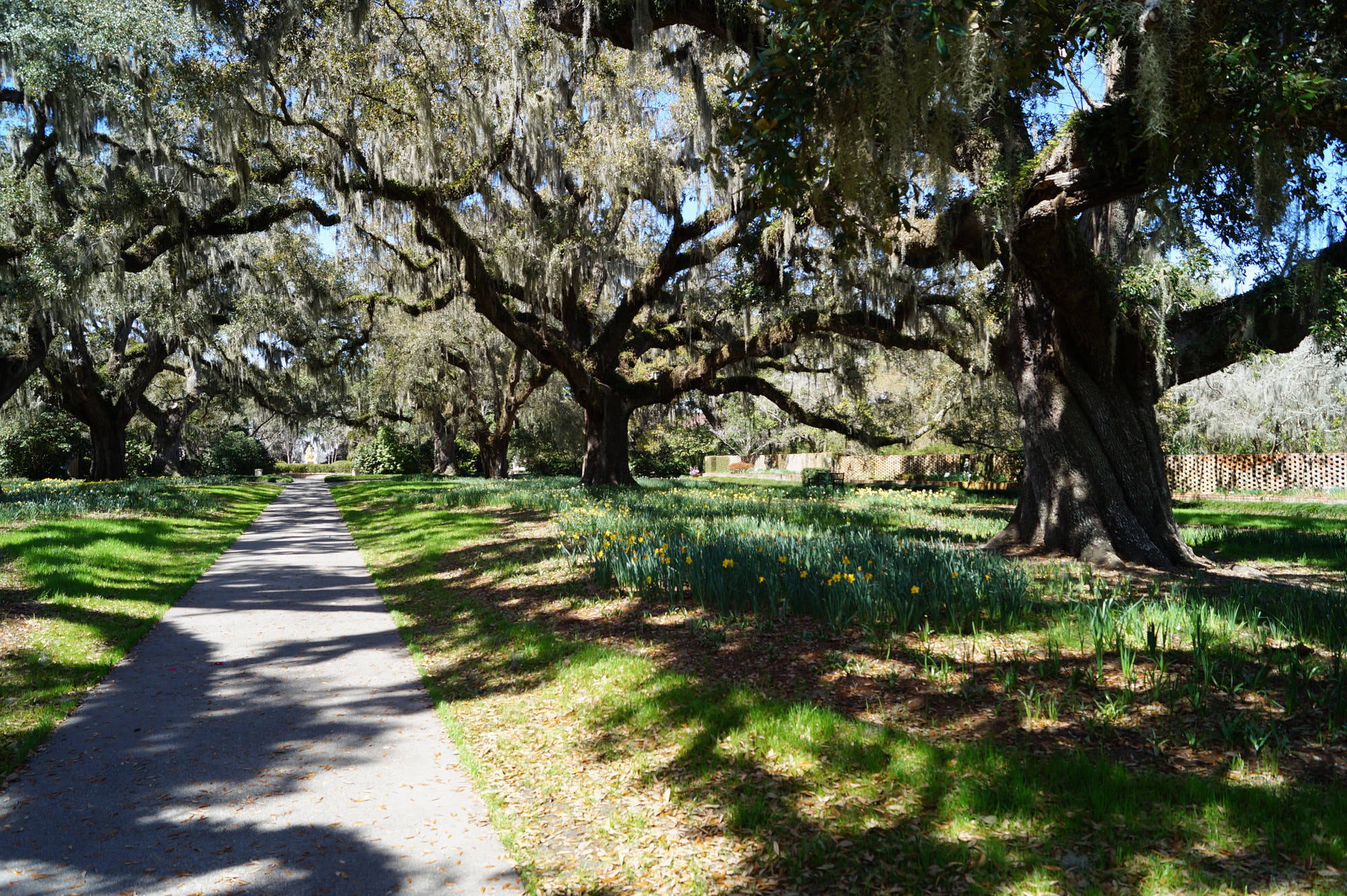 Pawleys Island, South Carolina, USA - Spring